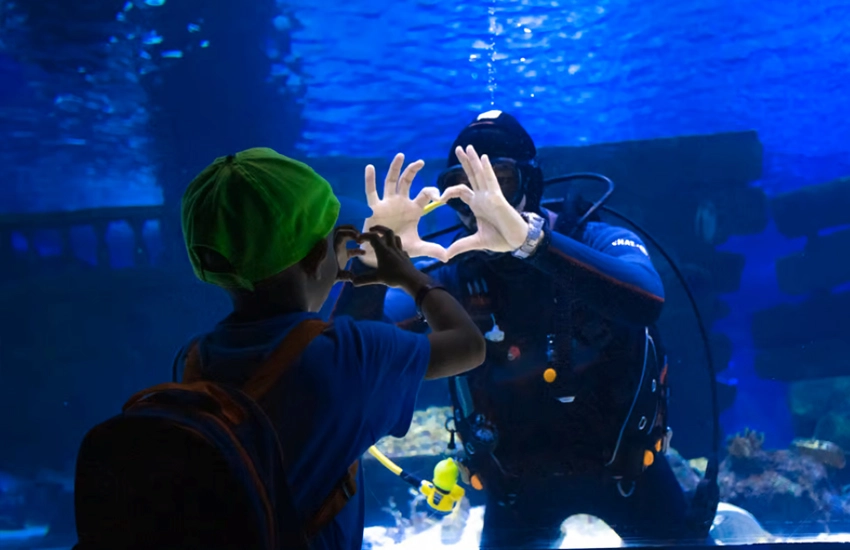 Side'den Antalya Akvaryum Turu