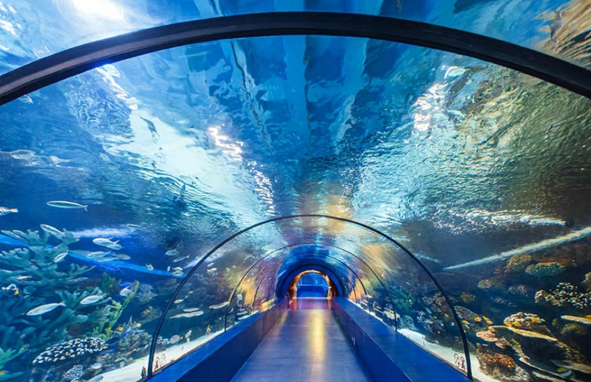 Side'den Antalya Akvaryum Turu