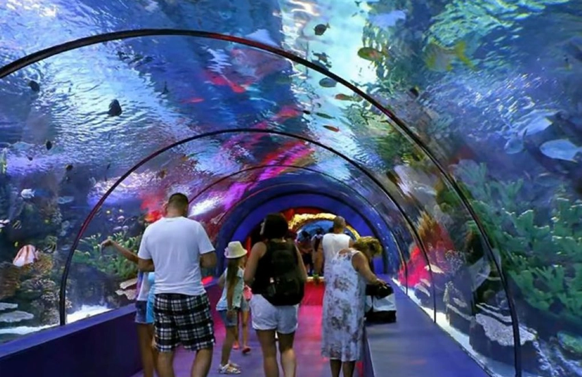 Side'den Antalya Akvaryum Turu