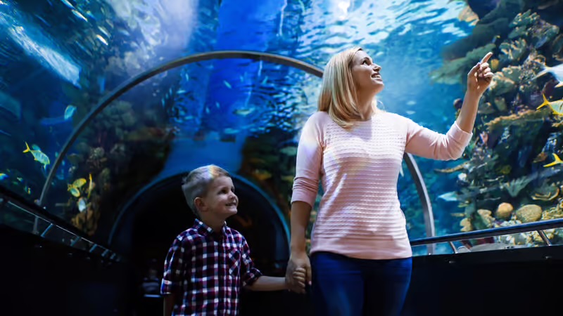 AQUARIUM & LAND OF LEGENDS NIGHT TOUR