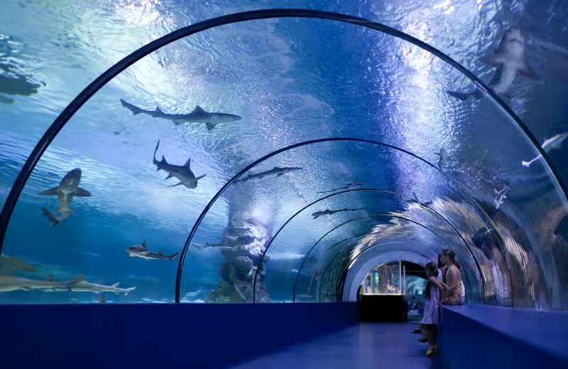 AQUARIUM & LAND OF LEGENDS NIGHT TOUR