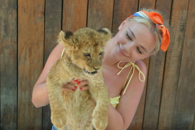 Lion Safari and Green Canyon Splash Feast with Lunch