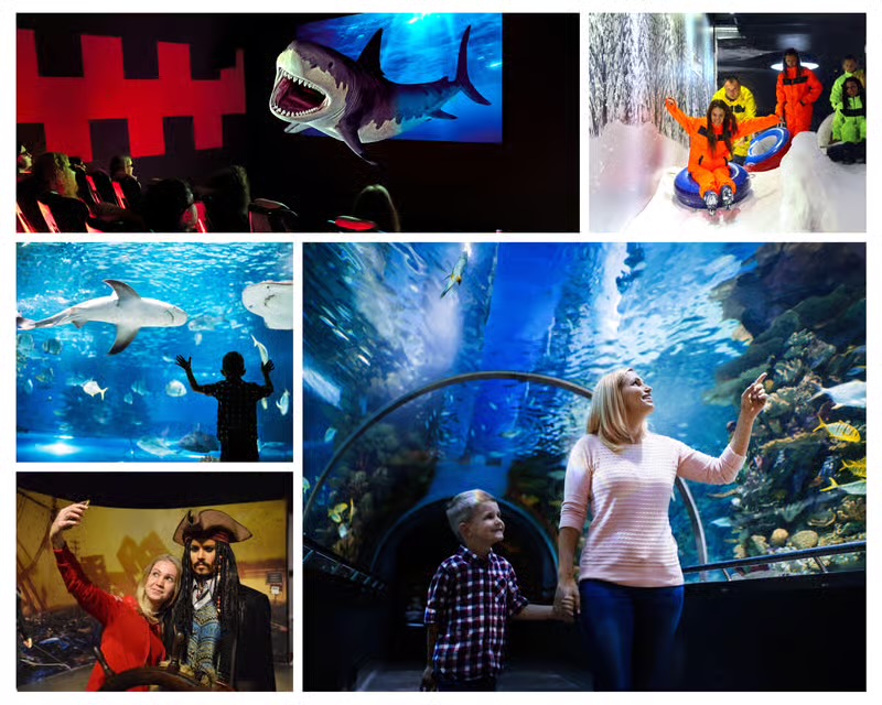 AQUARIUM & LAND OF LEGENDS NIGHT TOUR